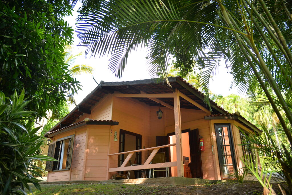 Jacarandá 23
